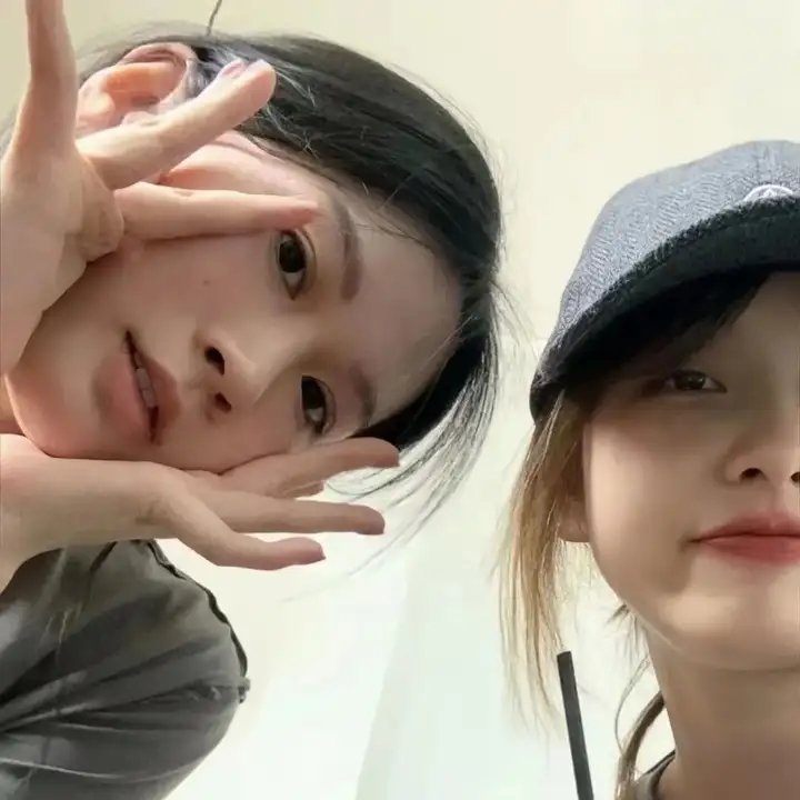 与鲨鱼游弋